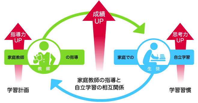 家庭教師の指導と自立学習の相互関係